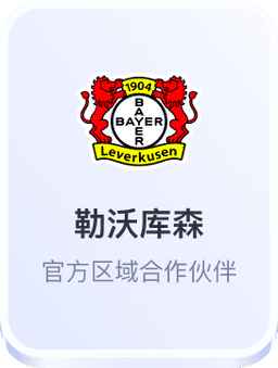 开云体育 勒沃库森合作