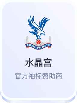 开云体育 水晶宫赞助